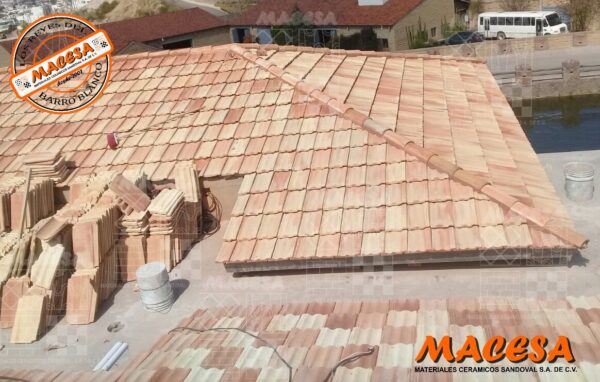 Teja Europea (Tipo Marsellesa)