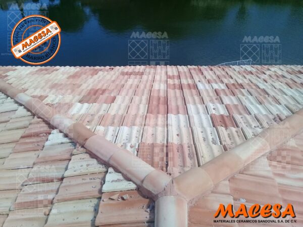 Teja Europea (Tipo Marsellesa) - Imagen 3