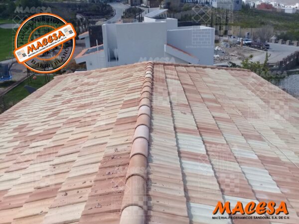 Teja Europea (Tipo Marsellesa) - Imagen 2