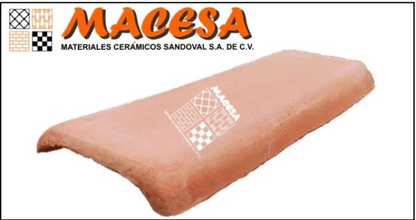 Teja Grapa - Imagen 2