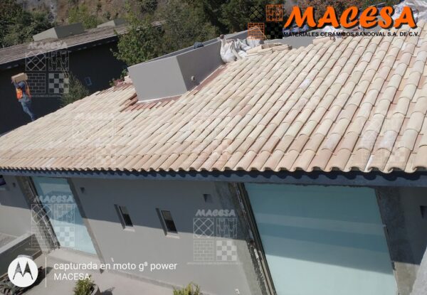 Teja Prensada "Salchicha“ - Imagen 4