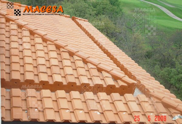 Teja Guadalajara