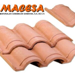 Teja de Ala Chica
