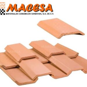 Teja Guadalajara